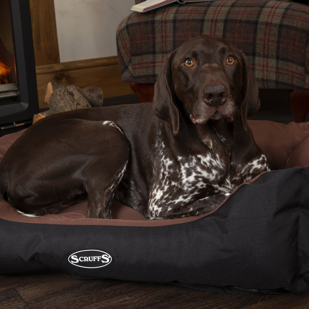 Expedition Box Dog Bed (in Chocolate Brown, Graphite Grey & Plum) by Scruffs