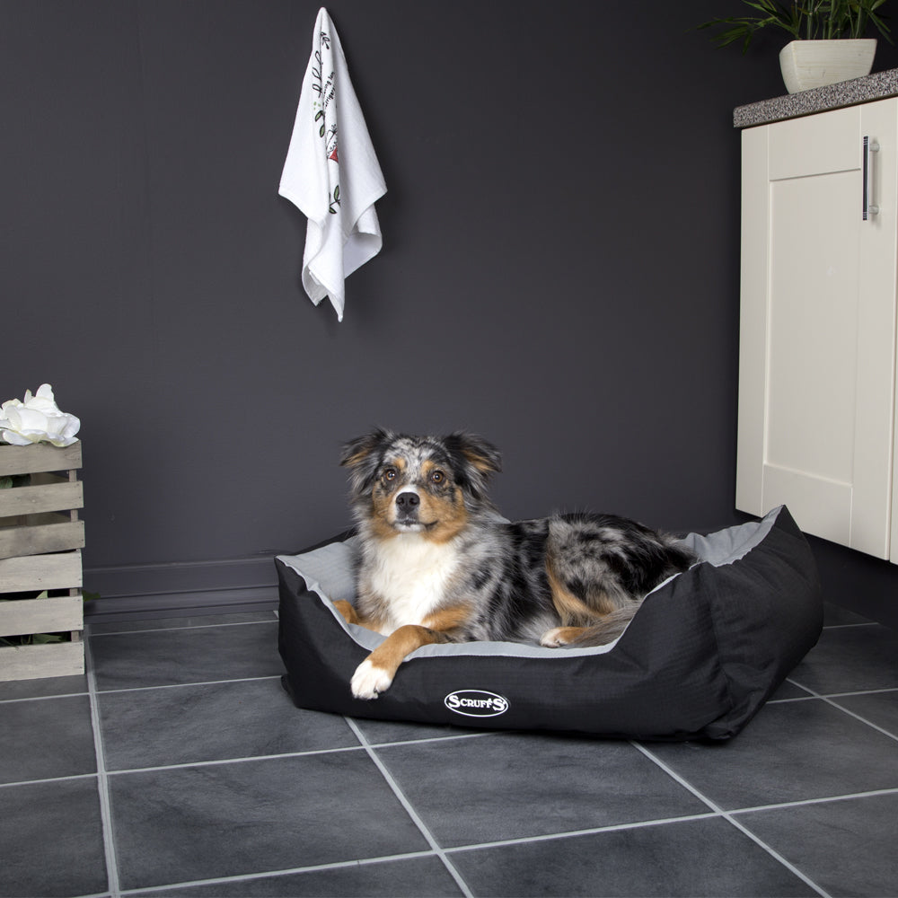 Expedition Box Dog Bed (in Chocolate Brown, Graphite Grey & Plum) by Scruffs