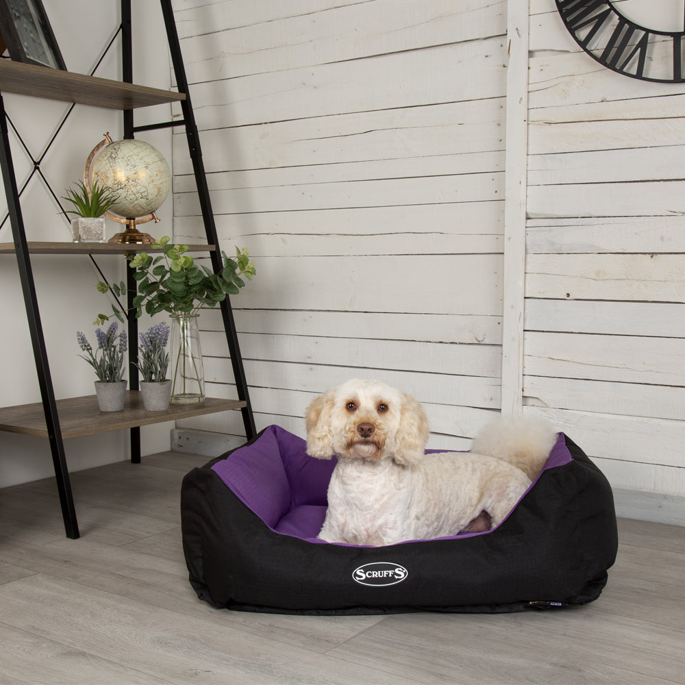 Expedition Box Dog Bed (in Chocolate Brown, Graphite Grey & Plum) by Scruffs