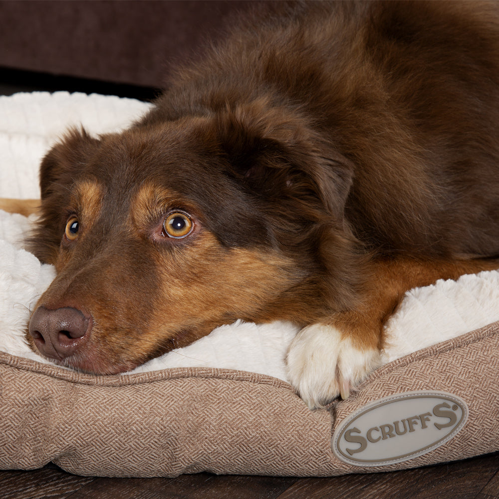Ellen Dog Mattress (in Tan, Pink or Grey) by Scruffs